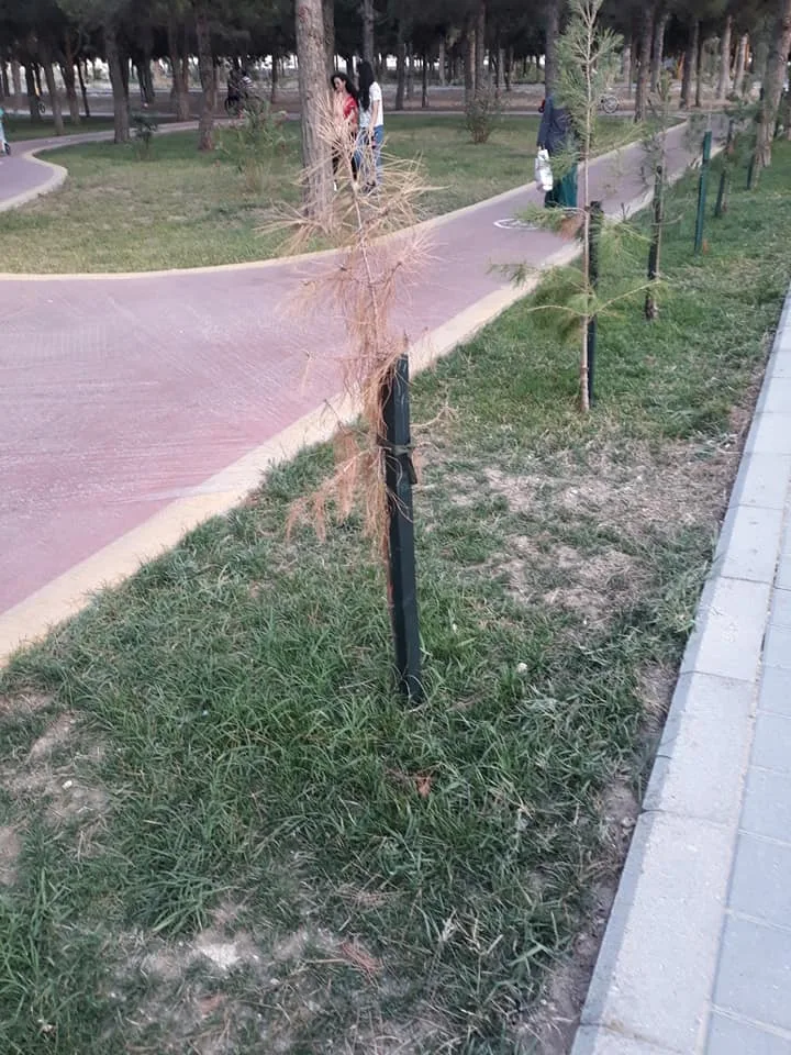 3 ay əvvəl açılışı olan parkın hazırkı vəziyyəti - FOTOLAR