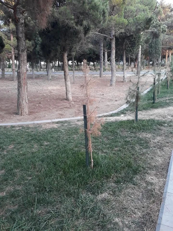 3 ay əvvəl açılışı olan parkın hazırkı vəziyyəti - FOTOLAR