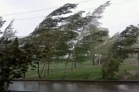 Bu yay küləkli günlərin sayı çoxalıb- SƏBƏB- - ALİMDƏN AÇIQLAMA