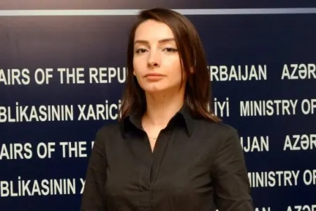 Bu sənədlər kağız parçasıdır – - XİN