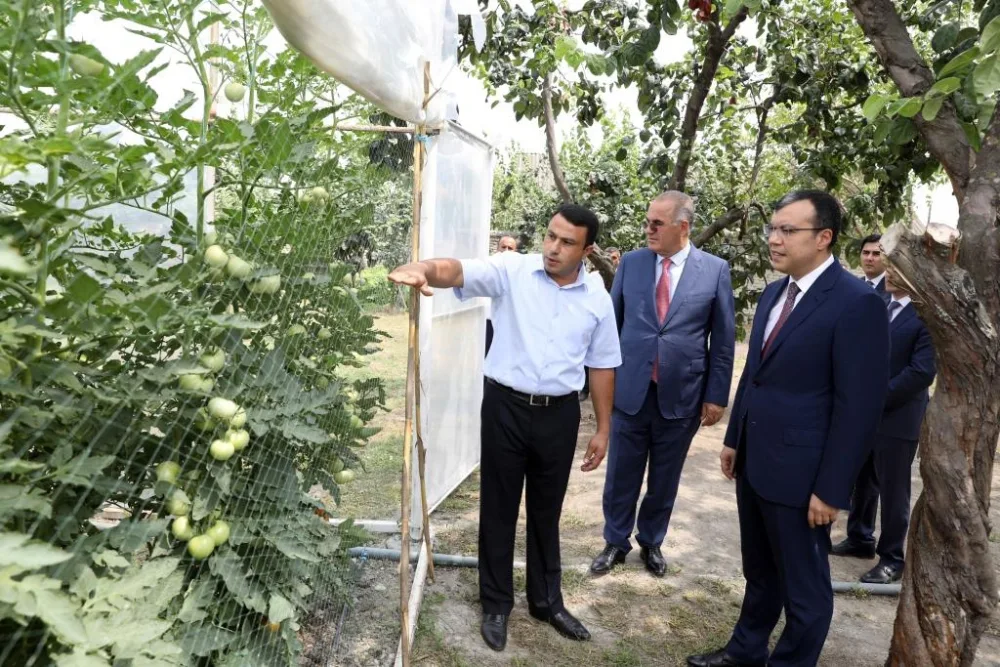 Sahil Babayev Göyçayda yaradılmış təsərrüfatlara - BAXIŞ KEÇİRDİ - FOTO