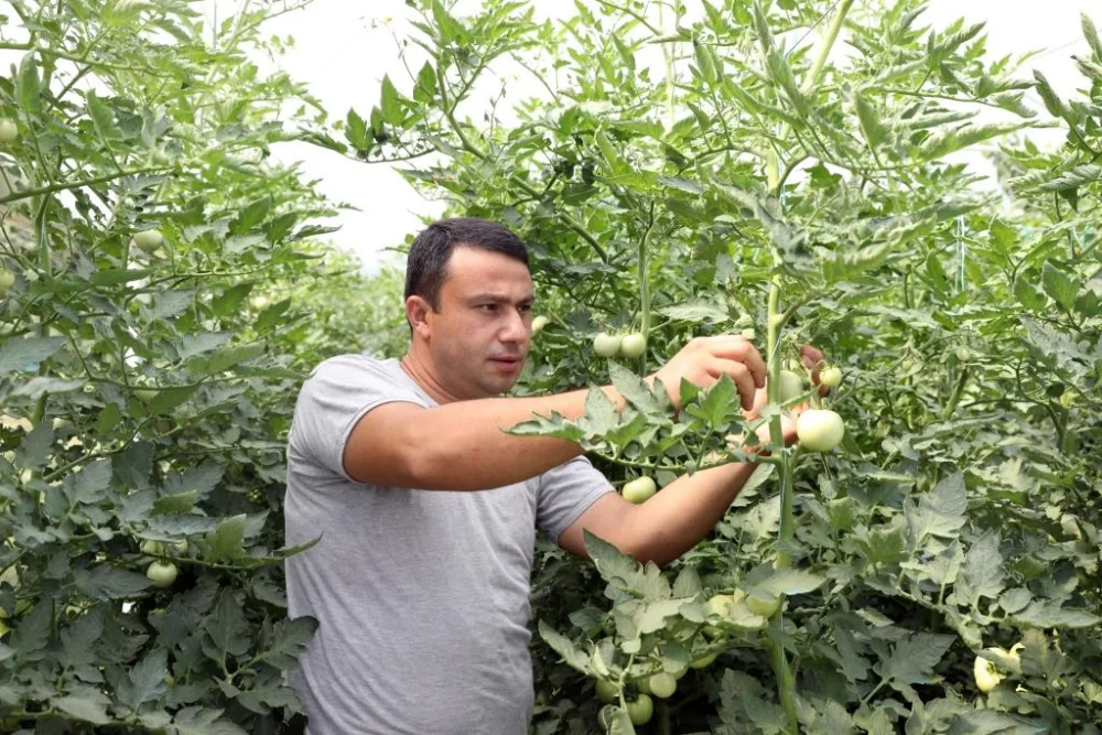 Sahil Babayev Göyçayda yaradılmış təsərrüfatlara - BAXIŞ KEÇİRDİ - FOTO
