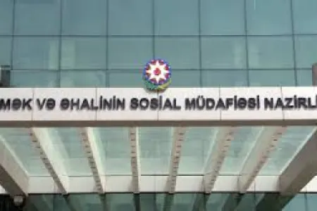 Sağlamlıq imkanları məhdud uşaqlara baxanlar üçün dəstək mərkəzləri yaradılır