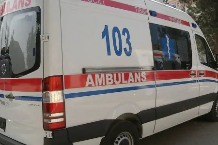 Azərbaycanda 6 uşağı gürzə ilanı - SANCIB