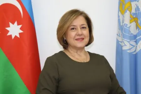 "Azərbaycanda səhiyyə xidmətlərini müasirləşdirmək üçün..." - ÜST nümayəndəsi