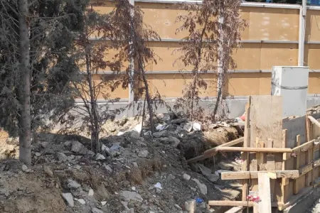 "Azərsu" ağacları susuz qoyub - ETSN MƏHKƏMƏYƏ VERİR