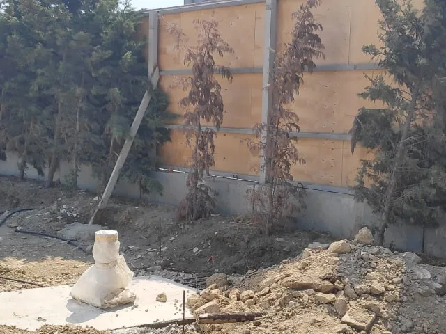 "Azərsu" ağacları susuz qoyub - ETSN MƏHKƏMƏYƏ VERİR