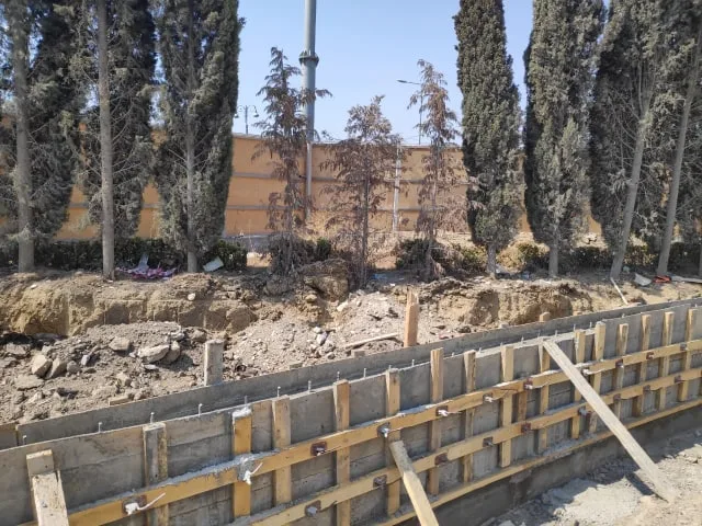 "Azərsu" ağacları susuz qoyub - ETSN MƏHKƏMƏYƏ VERİR