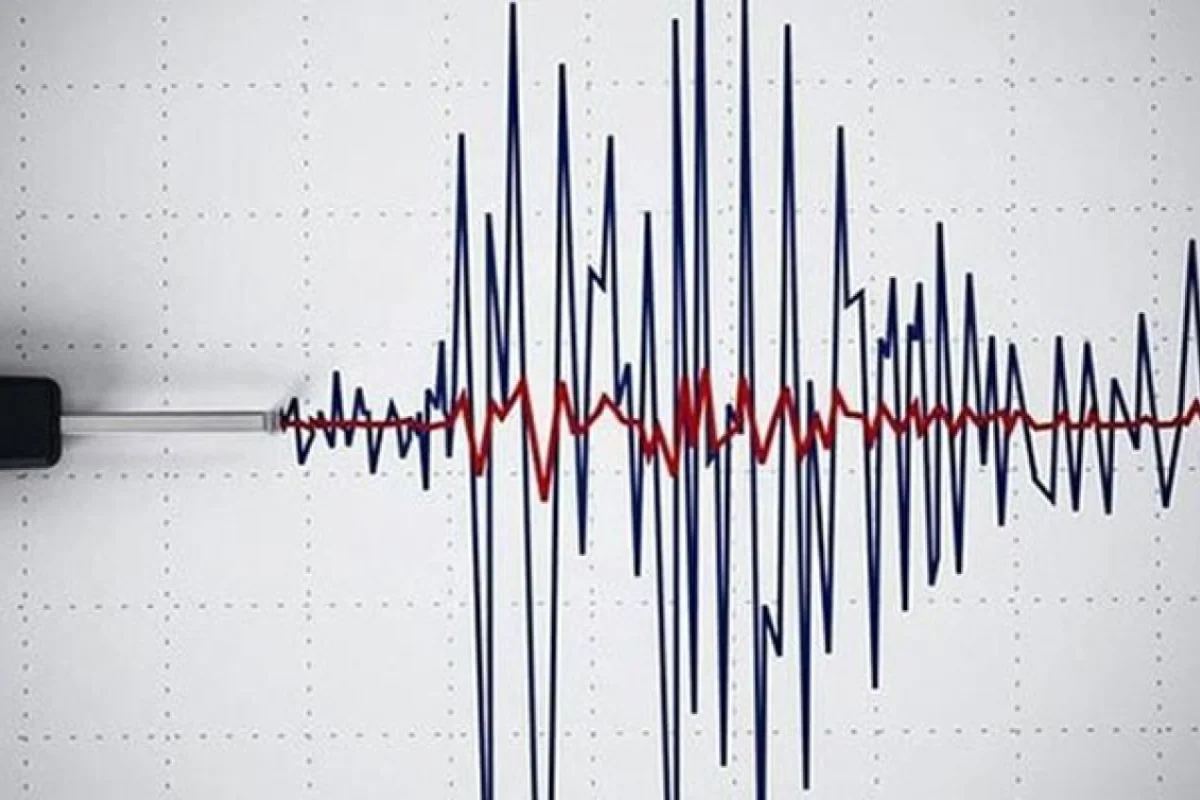 Gürcüstanda zəlzələ oldu - Dağıntı və tələfat...