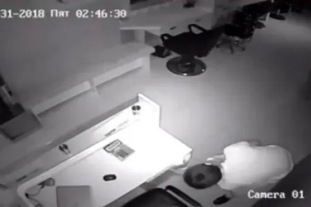 Baş mühasib işlədiyi müəssisəni qarət etdi - 9 kiloqram narkotik...
