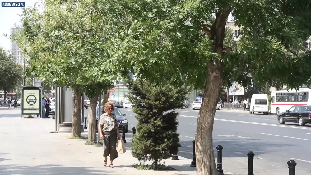Külək, niyə belə əsirsən KÜLƏK... - FOTO - VİDEOREPORTAJ