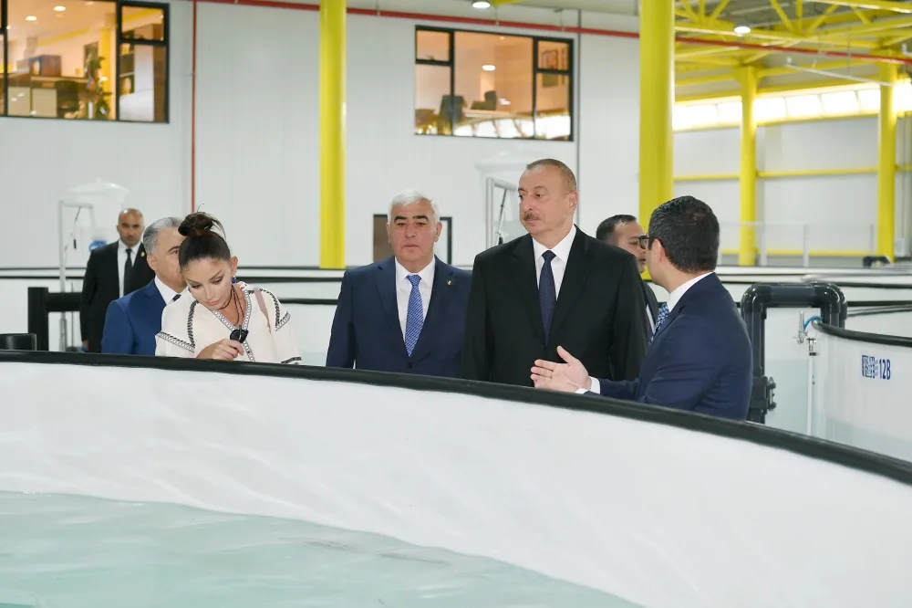 Prezident “NərəMİZ” balıqyetişdirmə zavodunun istehsalat prosesi ilə tanış oldu - YENİLƏNDİ - FOTO