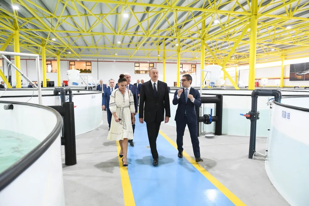 Prezident “NərəMİZ” balıqyetişdirmə zavodunun istehsalat prosesi ilə tanış oldu - YENİLƏNDİ - FOTO