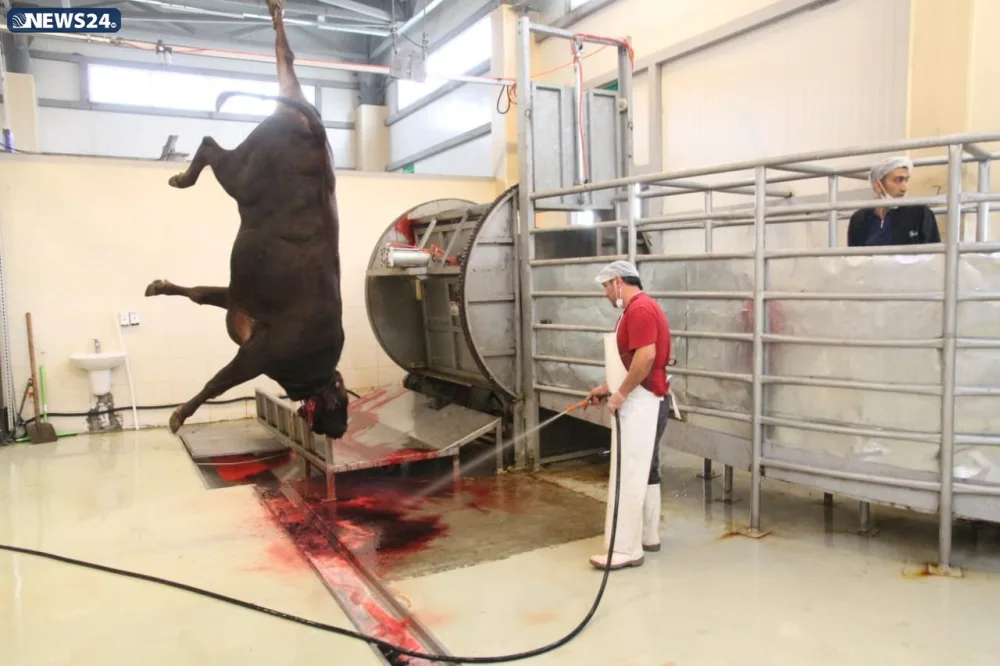 AQTA Qurban bayramı ilə bağlı - İNFOTUR KEÇİRİR