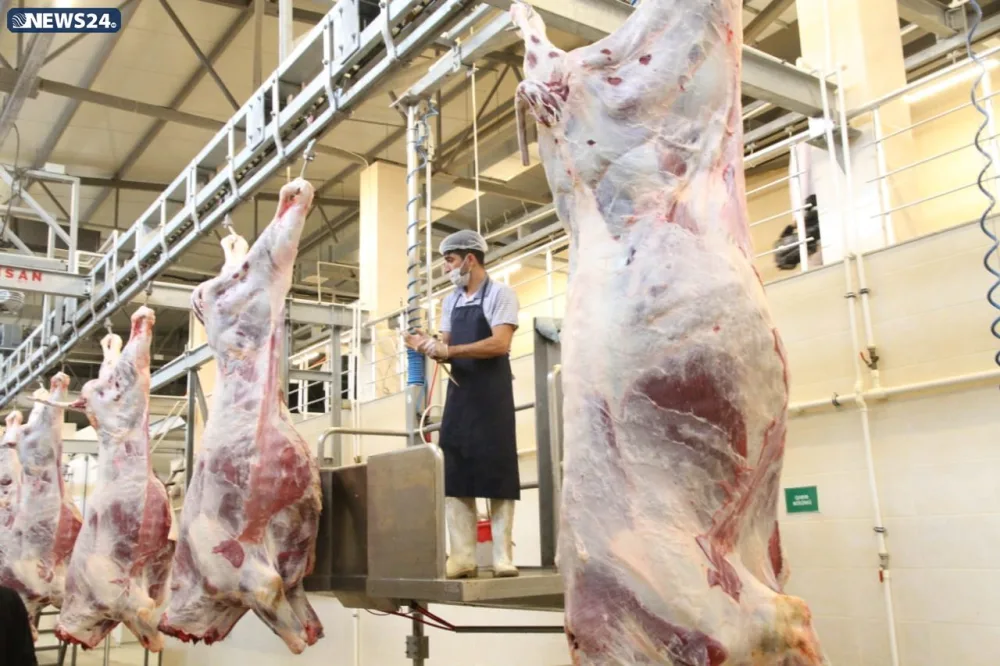 AQTA Qurban bayramı ilə bağlı - İNFOTUR KEÇİRİR