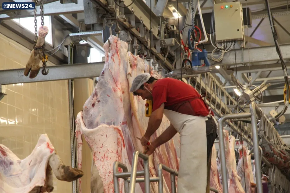 AQTA Qurban bayramı ilə bağlı - İNFOTUR KEÇİRİR