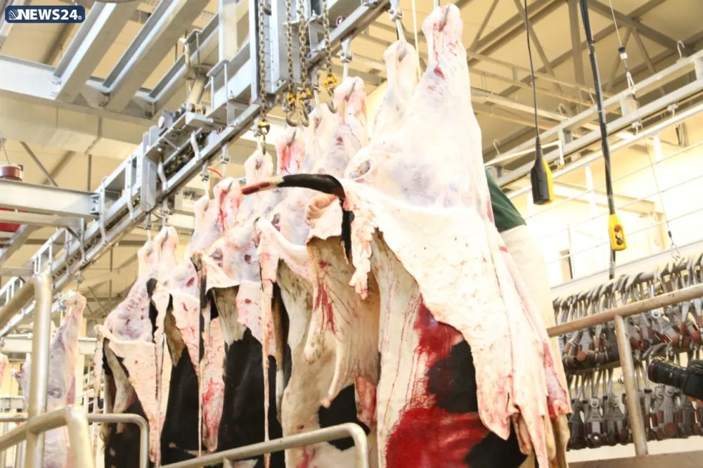 AQTA Qurban bayramı ilə bağlı - İNFOTUR KEÇİRİR