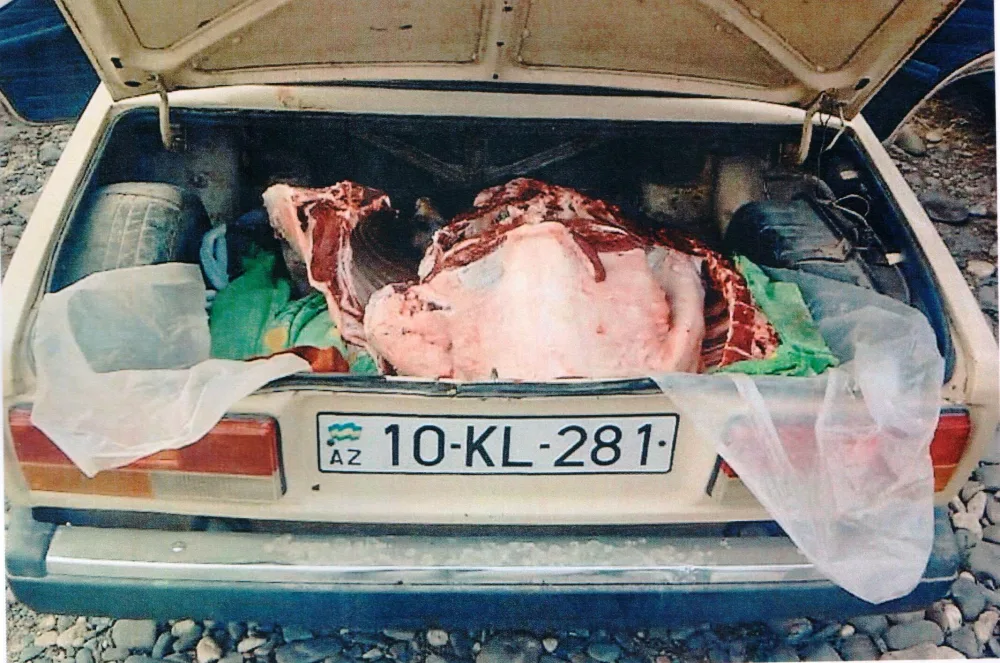 151 kilo yararsız ət - MÜSADİRƏ EDİLDİ - FOTO