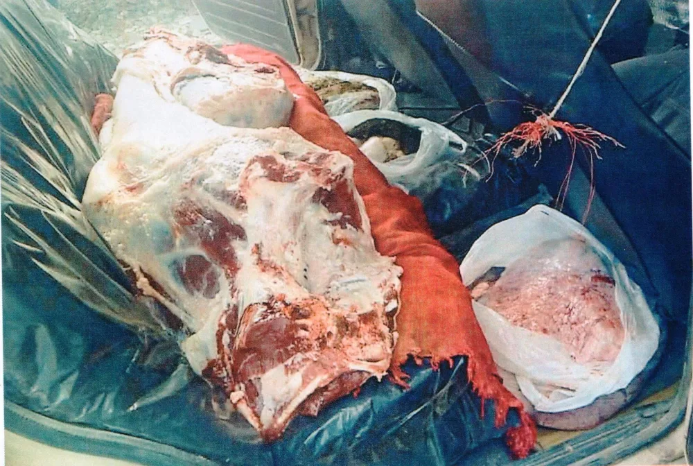 151 kilo yararsız ət - MÜSADİRƏ EDİLDİ - FOTO