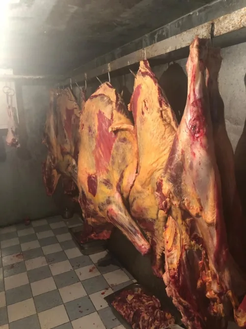 Bayram günlərində 1 tona yaxın yararsız ət aşkar edildi - FOTOLAR