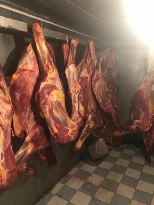 Bayram günlərində 1 tona yaxın yararsız ət aşkar edildi - FOTOLAR