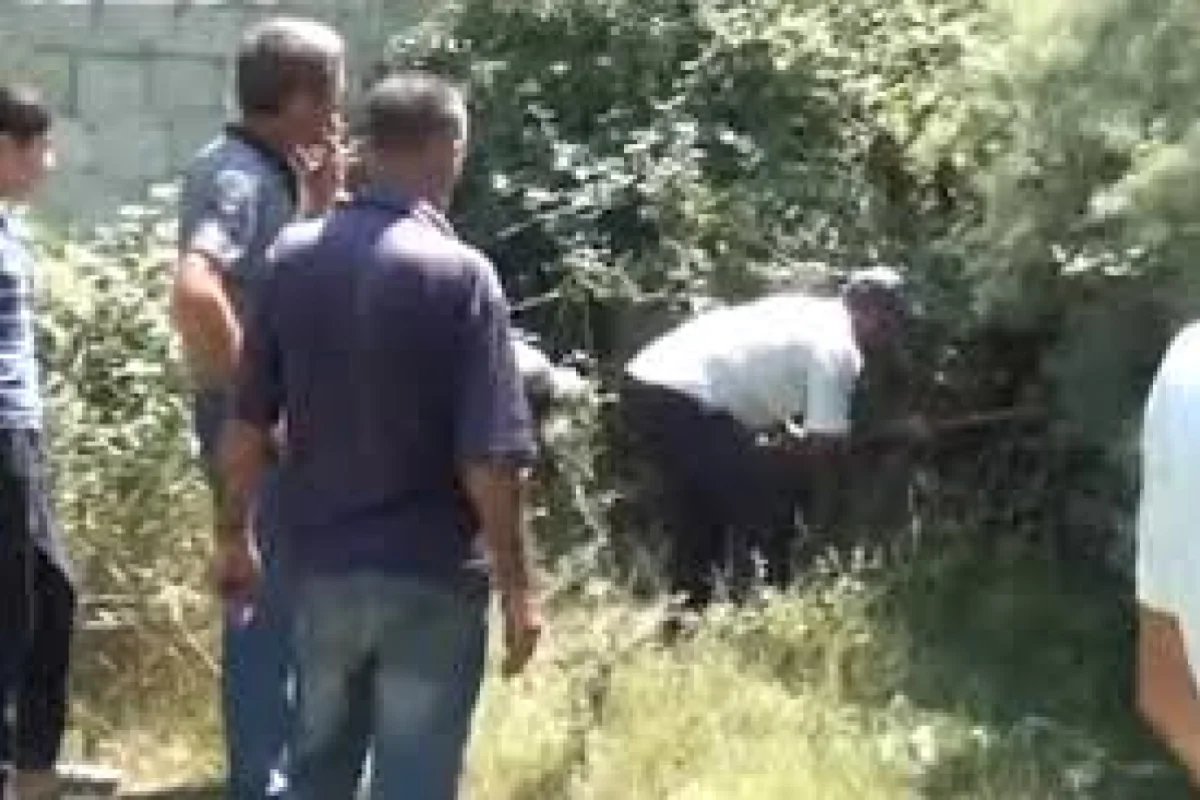 Ucarda qəribə varlıq peyda oldu - İNSANLAR QORXU İÇİNDƏ - VİDEO