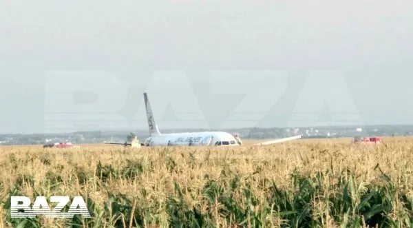 SON DƏQİQƏ! Təyyarə quşla toqquşdu - 9 uşaq xəsarət aldı - FOTO - VİDEO