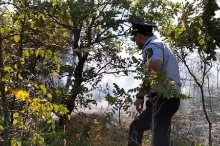 Qubada səhərdən başlayan yanğın davam edir - 20 hektar ərazi yandı