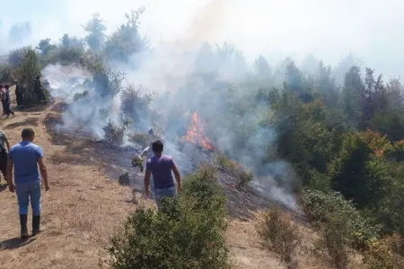 Hirkan Milli Parkında - YANĞIN - FOTO