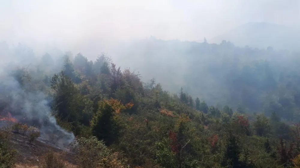 Hirkan Milli Parkında - YANĞIN - FOTO