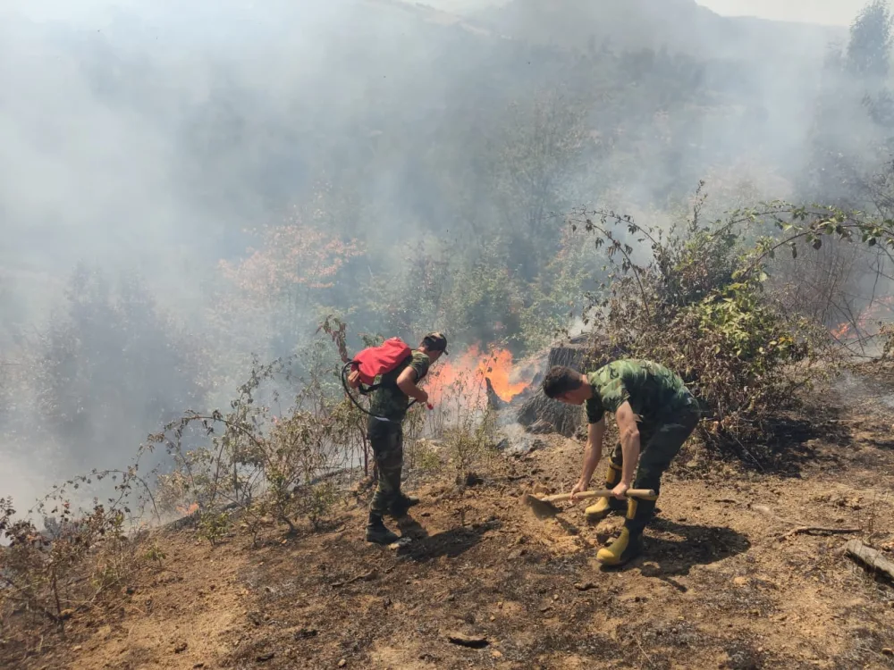 Hirkan Milli Parkındakı yanğına helikopter - CƏLB OLUNDU - YENİLƏNİB - VİDEO