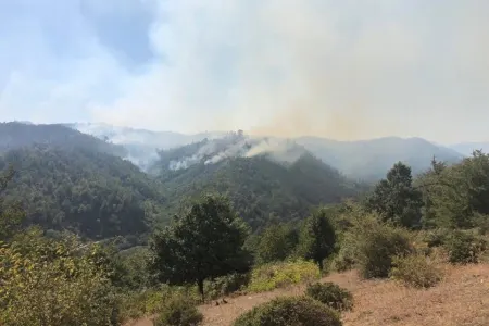 Hirkan Milli Parkında yanğının ətrafa yayılmasının qarşısı alındı - VİDEO - YENİLƏNİB