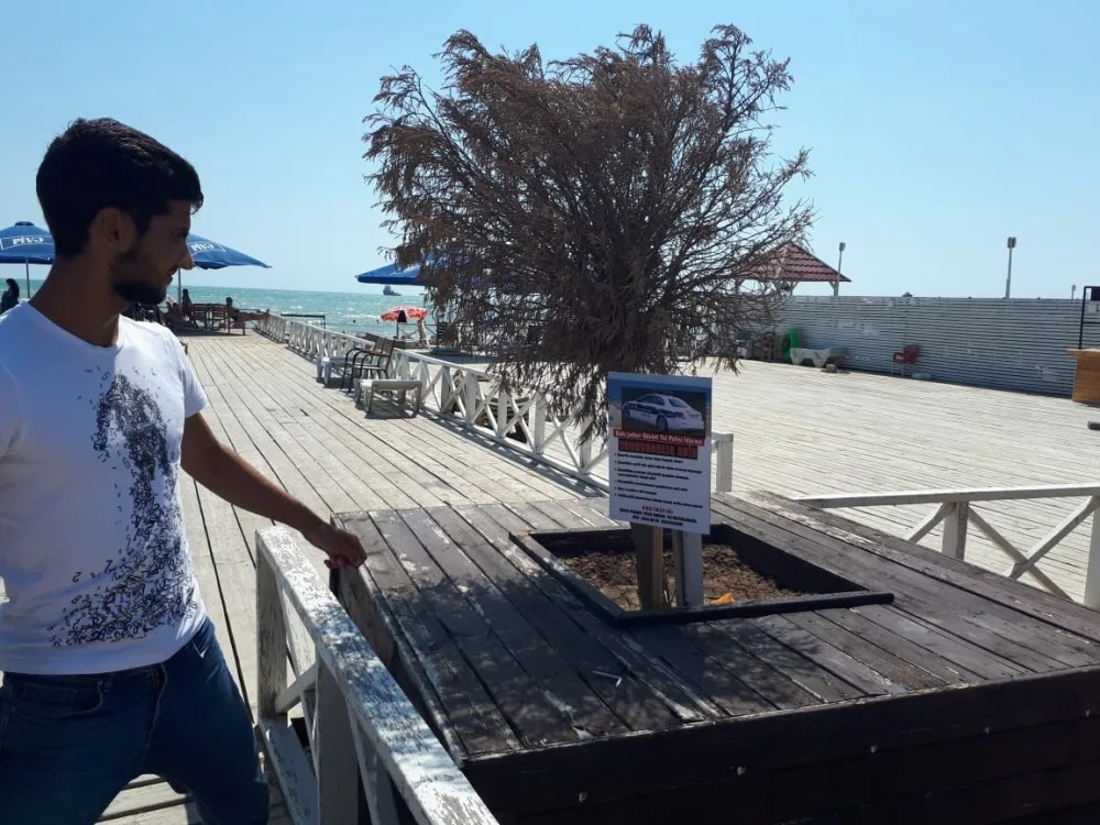Yol polisi Sabunçu rayonunda "Təmiz hava" - AYLIĞI KEÇİRDİ - FOTO