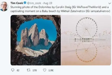 "Apple"ın baş direktoru dünya fotoqraflarını Bakının - "Şeytan çarxı" ilə təbrik etdi - FOTO