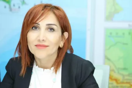 "Yanan meşə sahələrinin hamısında payız mövsümündə ağaclar əkiləcək" - İRADƏ İBRAHİMOVA