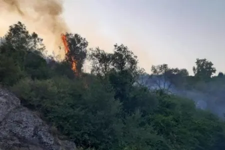 Göygöl meşəsindəki yanğın söndürüldü