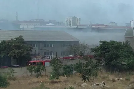 Boya sexi YANIR - BU YOL BAĞLANDI - FOTOLAR
