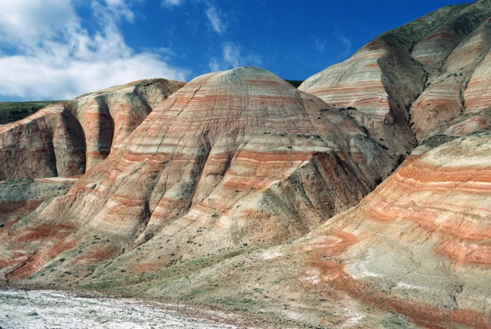 Altıağac milli parkında “açıq qapı” günü - KEÇİRİLƏCƏK - FOTOLAR