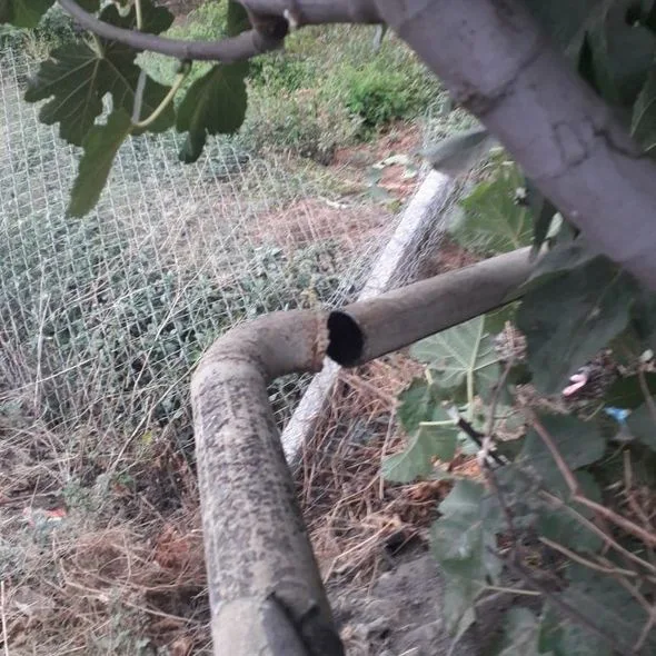 Avtomobillər toqquşdu, qaz xətti sıradan çıxdı