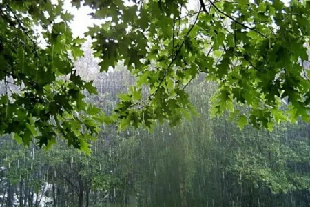 Temperatur 3.5 dərəcə aşağı enib - ETSN