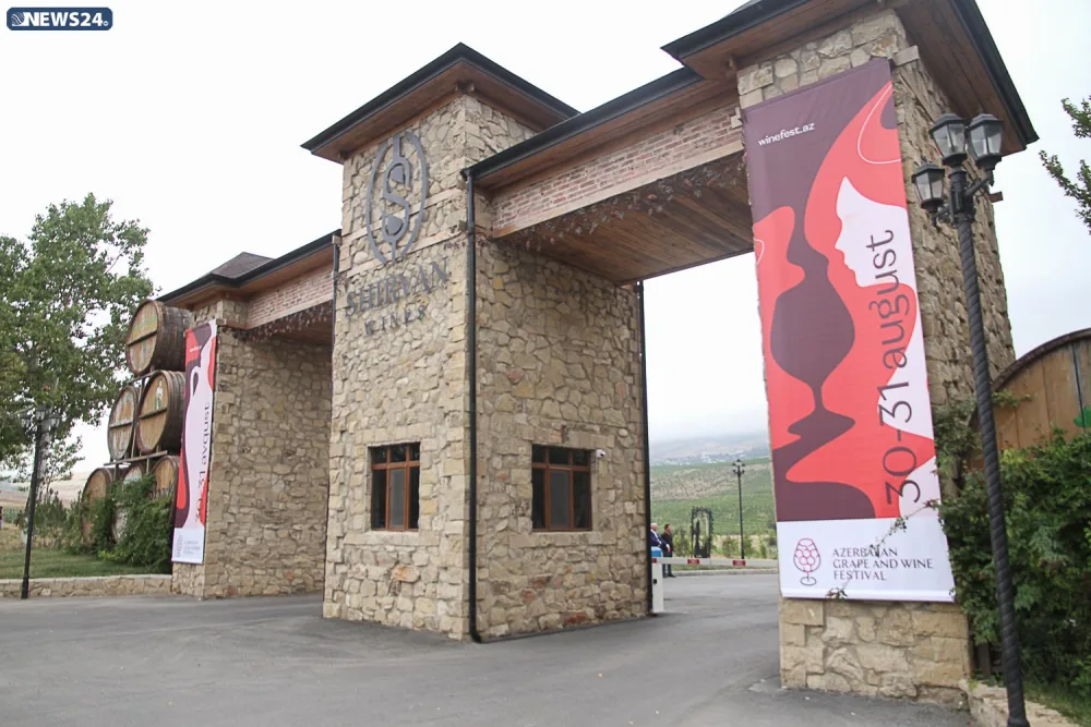 Dünyada görünməmiş şərab festivalı - AZƏRBAYCANDA -VİDEO-FOTOSESSİYA