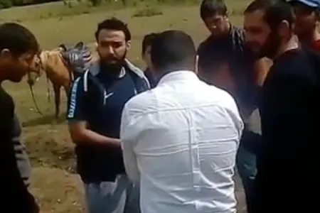 Qubada 10 dəqiqə at çapmaq 150 manat - VİDEO