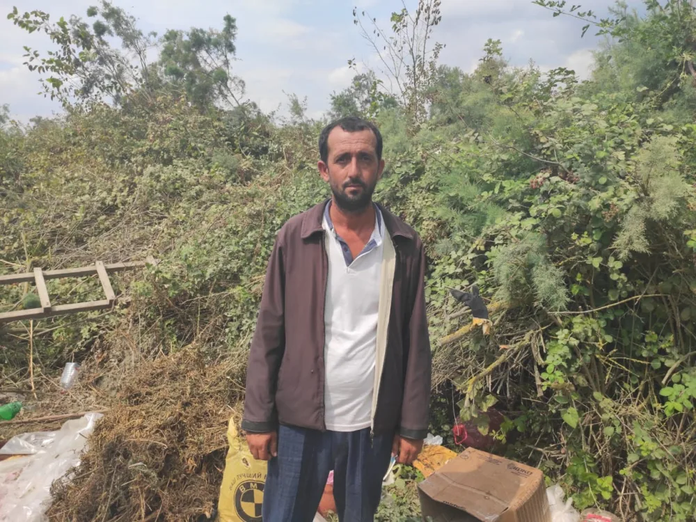 Salyanda 62 ədəd çətənə kolu - AŞKARLANDI - FOTO