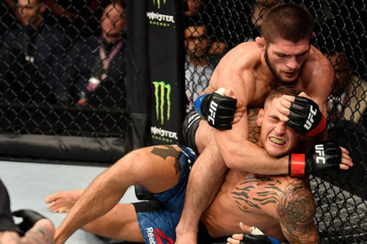 Həbib Nurməhəmmədovdan qələbə xəbəri gəldi - 6 MİLYON qazandı