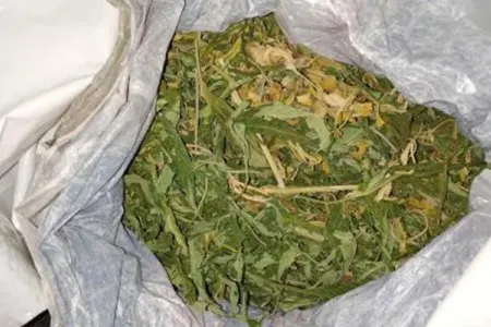 Narkotacirdən 2,3 kq marixuana - GÖTÜRÜLDÜ