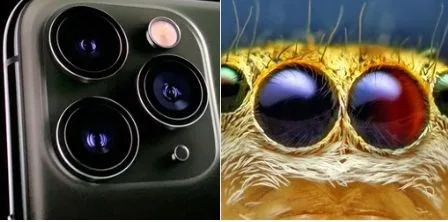 "iPhone 11" gülüş obyektinə çevrildi - FOTOLAR