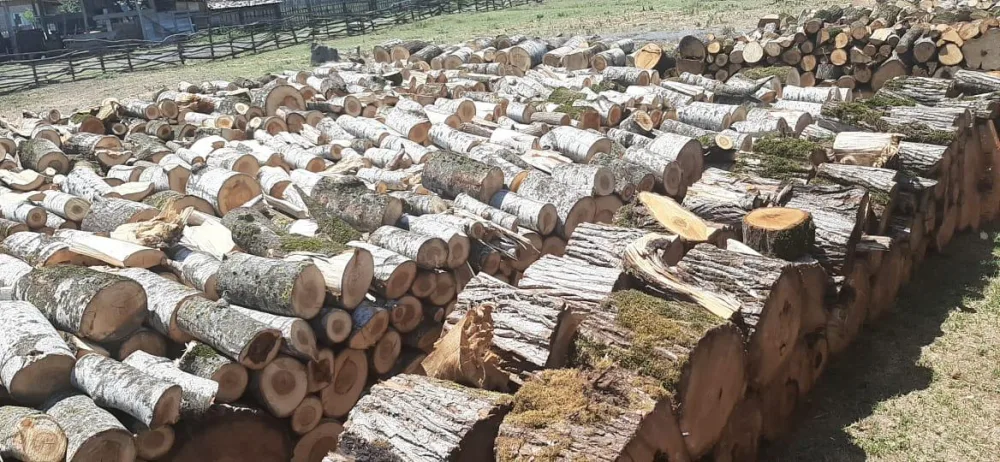 Qazlaşdırılmamış ucqar dağ kəndləri üçün oduncaq tədarükü davam edir - ETSN