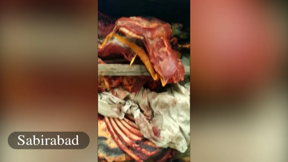 “Leş Tofiq” və dəstəsi - ƏLƏ KEÇDİ - FOTOLAR - VİDEO