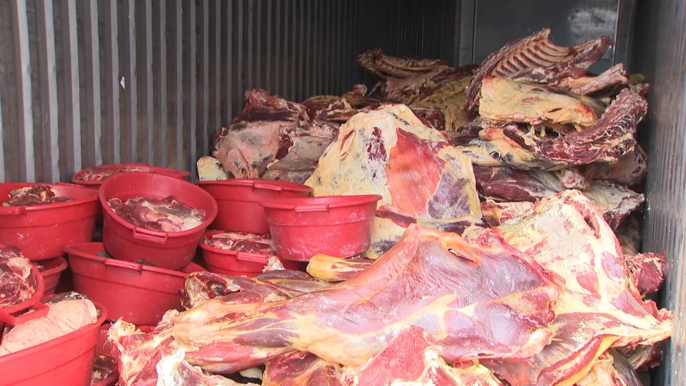 “Leş Tofiq” və dəstəsi - ƏLƏ KEÇDİ - FOTOLAR - VİDEO