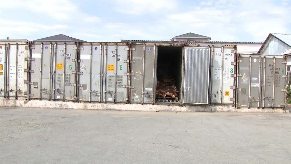 “Leş Tofiq” və dəstəsi - ƏLƏ KEÇDİ - FOTOLAR - VİDEO